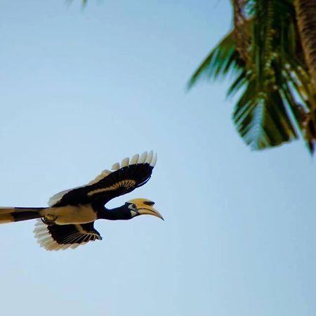 مبيت وإفطار Baan Anattaya Koh Yao Noi المظهر الخارجي الصورة