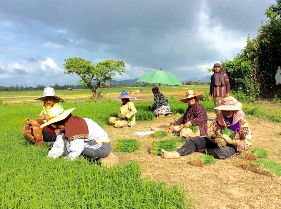 مبيت وإفطار Baan Anattaya Koh Yao Noi المظهر الخارجي الصورة